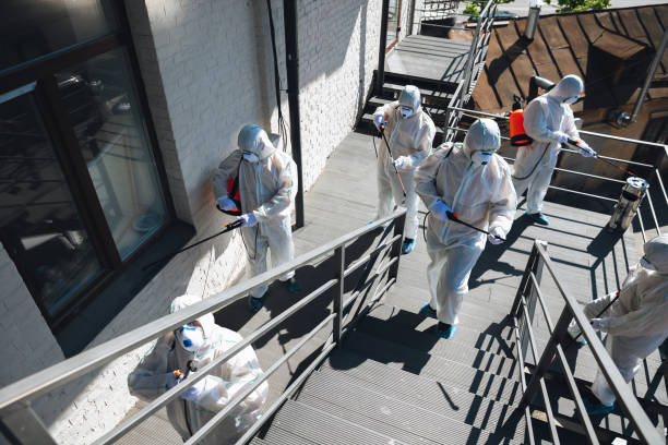 Best Attic Mold Removal  in Asbury Park, NJ