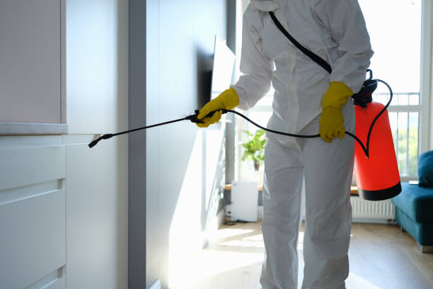 Reliable Asbury Park, NJ Mold Removal Solutions