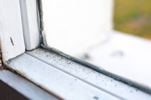 Best Indoor Air Quality Assessment  in Asbury Park, NJ