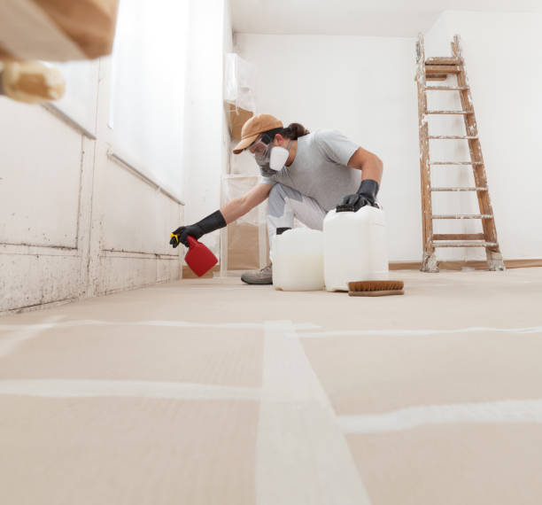 Best Post-Remediation Verification Testing  in Asbury Park, NJ
