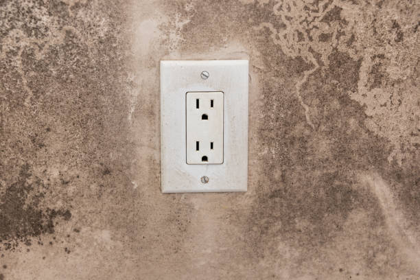 Best Mold Odor Removal Services  in Asbury Park, NJ
