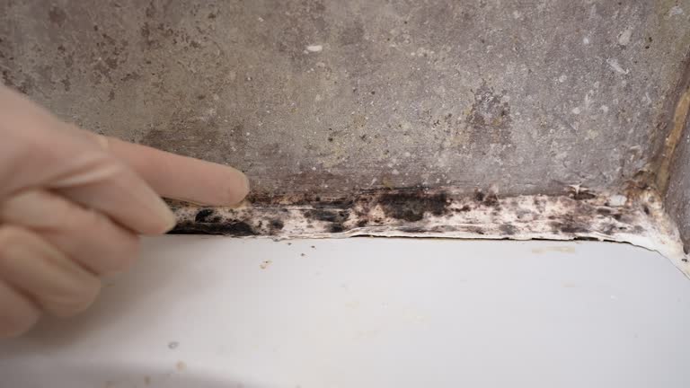 Best Water Damage & Mold Remediation  in Asbury Park, NJ