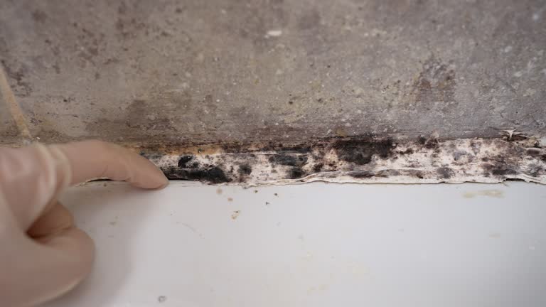 Best Crawl Space Mold Remediation  in Asbury Park, NJ